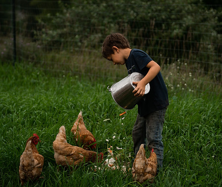 Image by Laura Ohlman