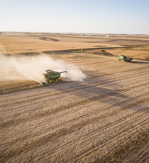 Image by Scott Ymker