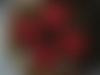 Advent Mission Focus