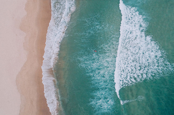 Image by Alex Widmer