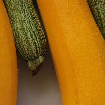 Courgettes