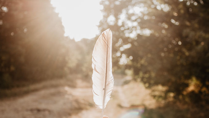 The Feather Model