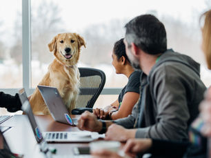 5 Barkworthy Tech Trends