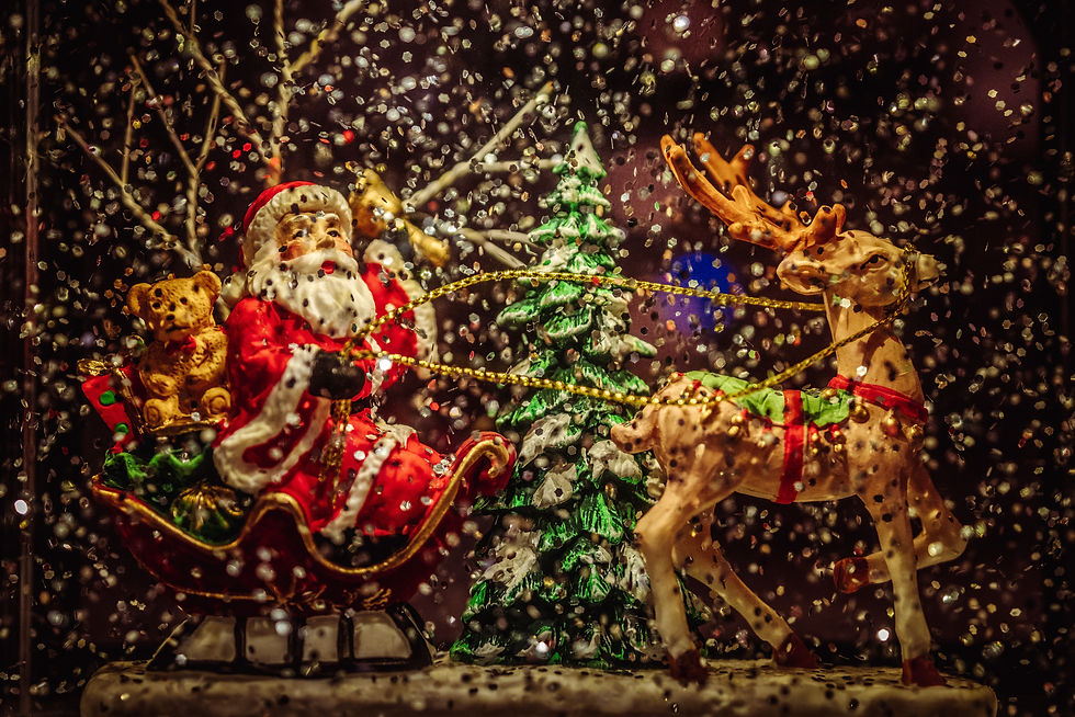 Taumarunui Christmas Parade and Market Day