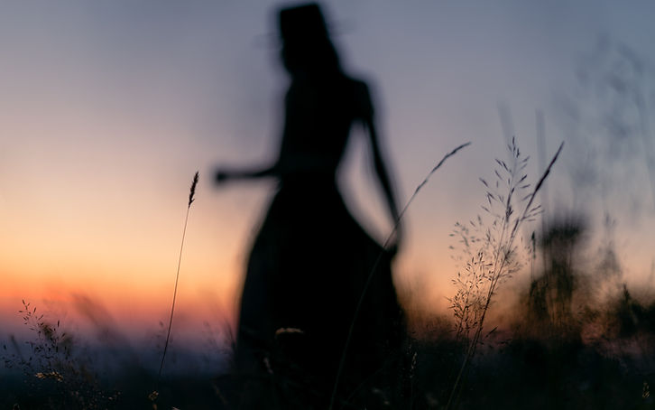Image by Lucian Dachman