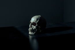 A single human skull resting on a dark surface, dramatically lit with deep shadows—evoking death, mystery, and the macabre atmosphere of horror storytelling.