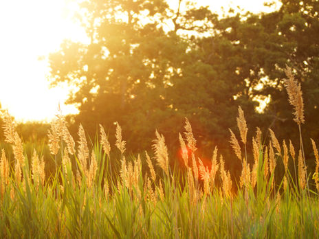 Voel je de Indian Summer?