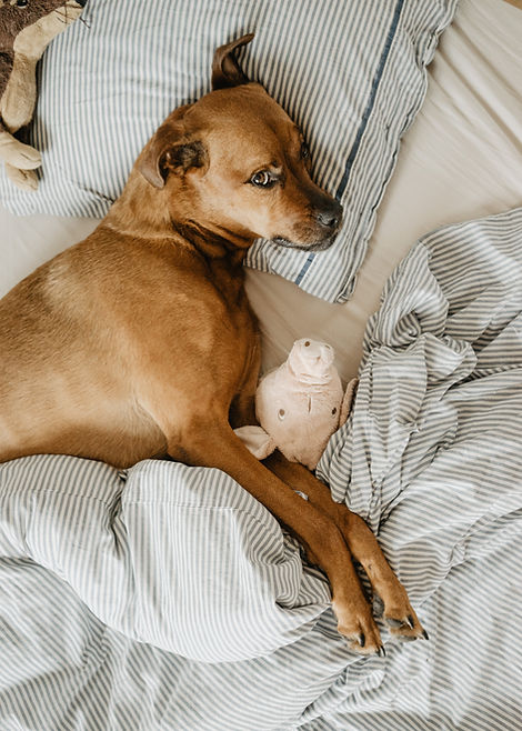Image by Ruby Schmank