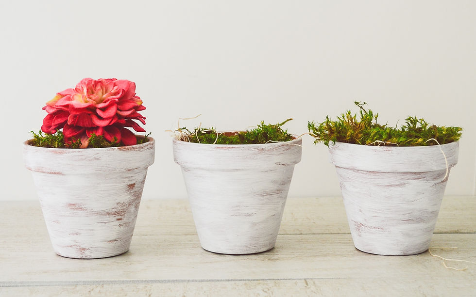 Planters
