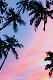 Tropical fun Branding