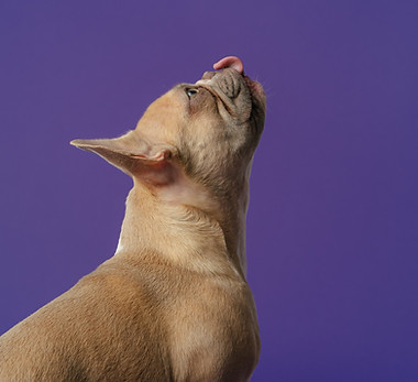 Image by Karsten Winegeart