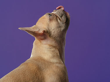 Image by Karsten Winegeart