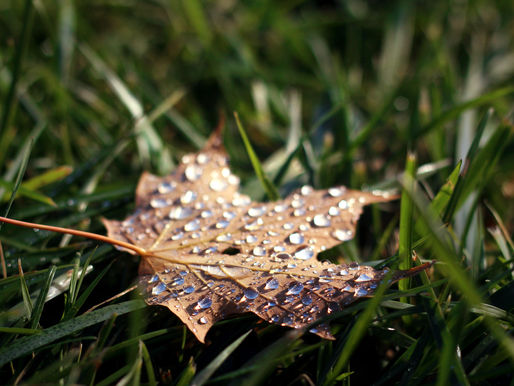 Hello Autumn