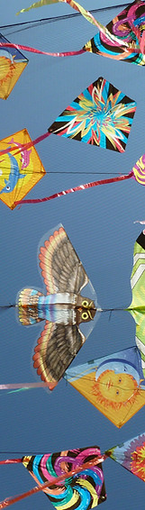 Image de Agnieszka Ziomek