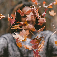 Image by Jakob Owens