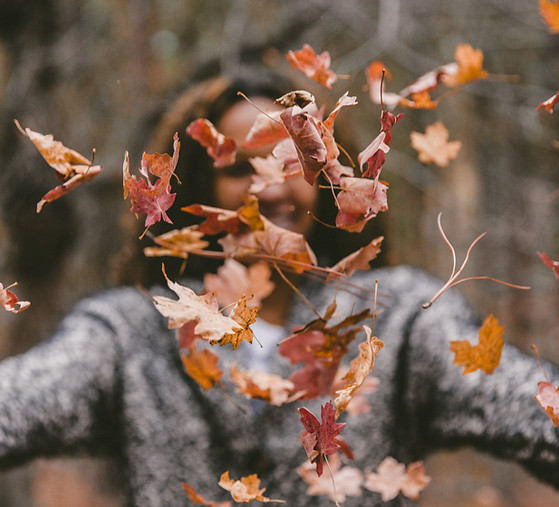 Image by Jakob Owens