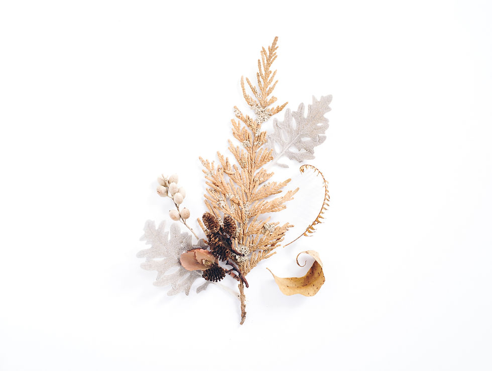 Dried flowers