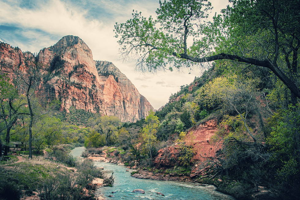 Scenic Zion Canyon river, spring foliage