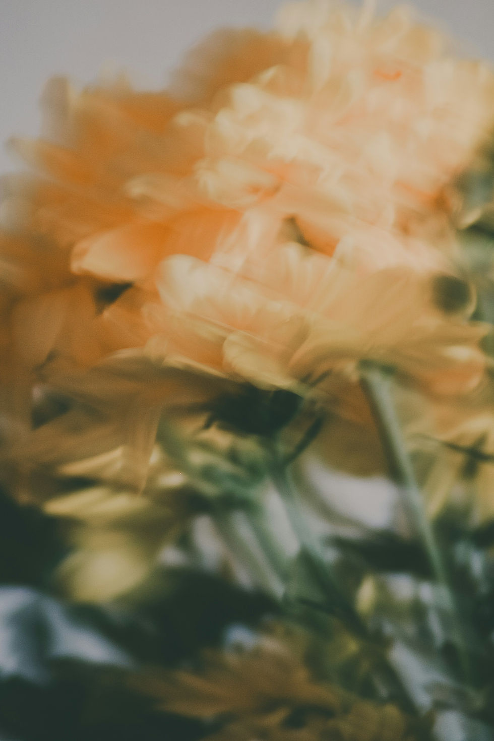 Image by Victoria Alexander