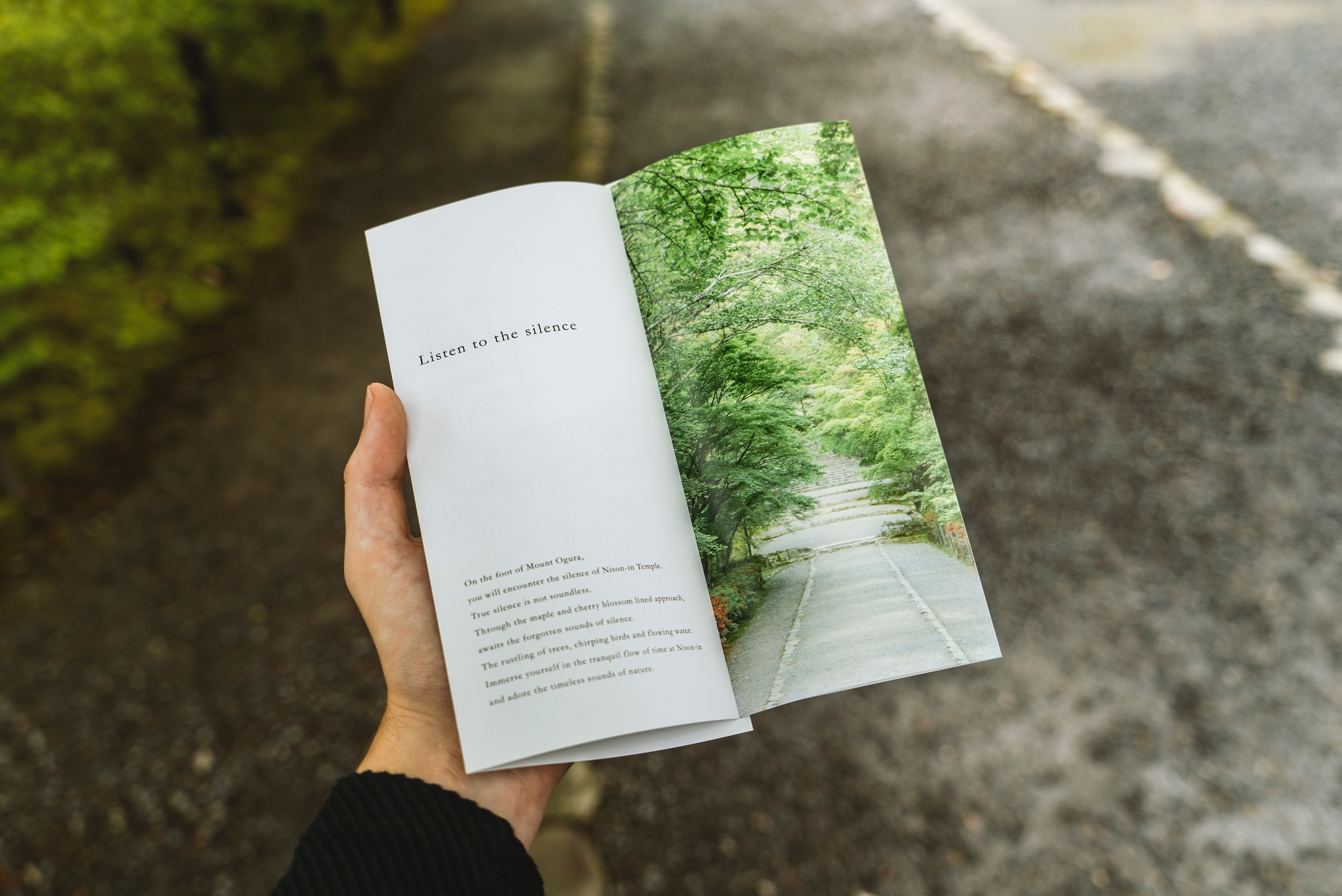 Local Brochure Design Services