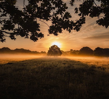 Image by Simon Wilkes