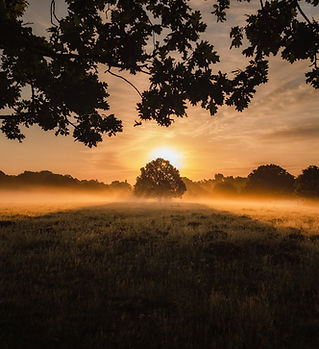 Image by Simon Wilkes