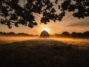 Afterlife Near Death Experiences Past Lives and Reincarnation
