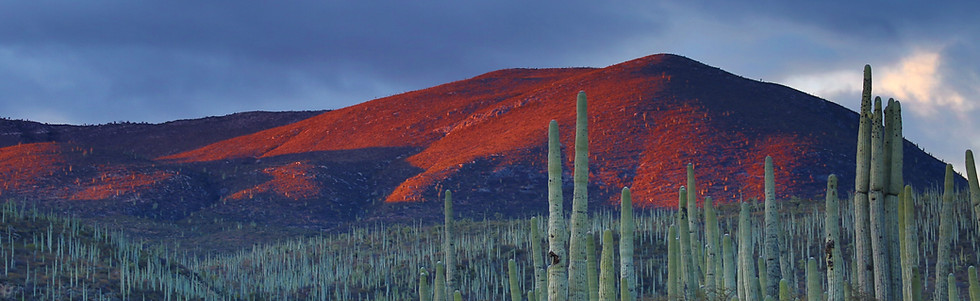 Image by Andrés Sanz