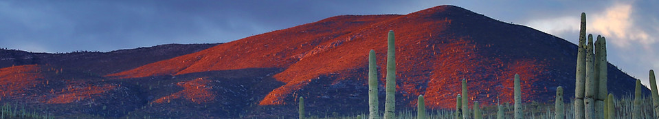 Image by Andrés Sanz