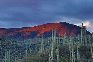 Image by Andrés Sanz