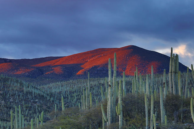Image by Andrés Sanz