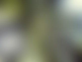 Simplistic, Complex and Simple