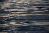Image de Alice Vanlian