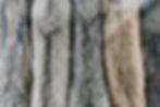 Fur