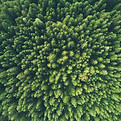 Digital Terrain Modeling