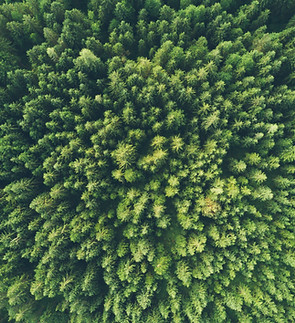 Image by John O'Nolan