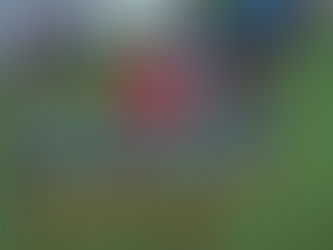 The importance of warm-ups and cool-downs in sports