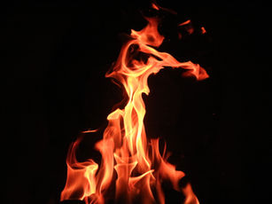 When the Brain is on Fire – Understanding Neuroinflammation and Mental Health