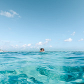 Image by Dane Wetton