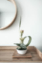 Image by Linh Le