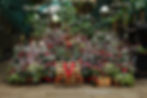 Fresh Evergreen Christmas Porch Pot Class