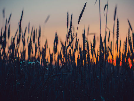 June 2023 Ascension Energies Update