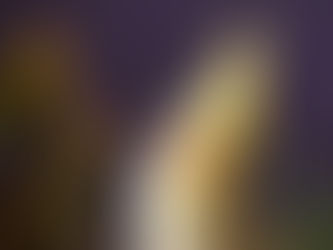 Yellow cockatiel with orange cheeks and spiky crest is perched against a blurred dark purple background, looking curious.