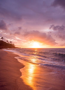 Image by Cristofer Maximilian