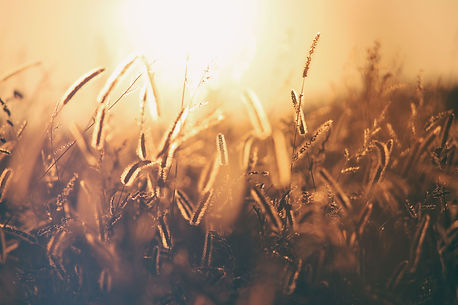 Image by Erik-Jan Leusink