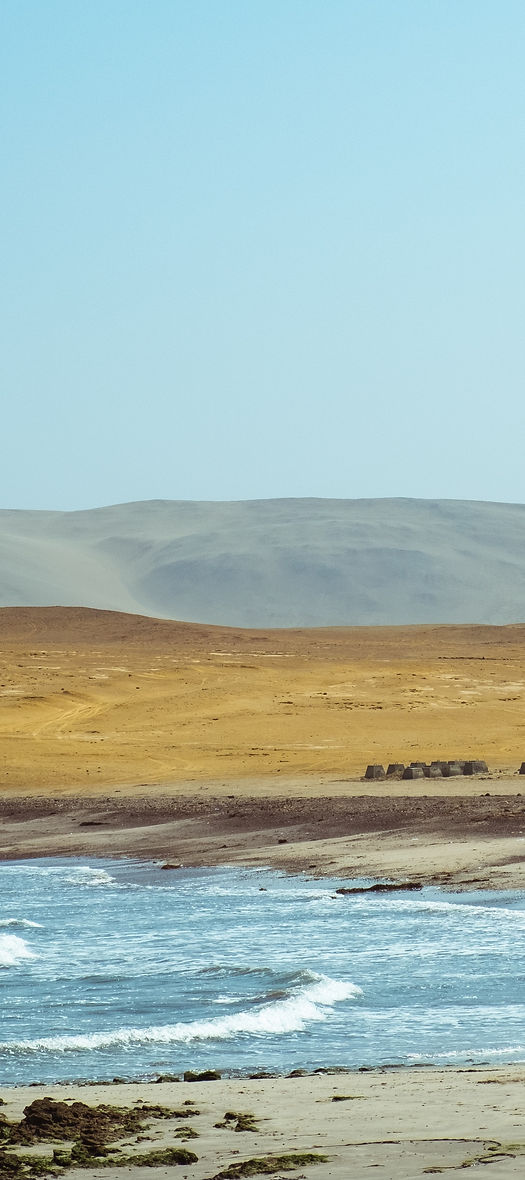 Image by Sander Lenaerts