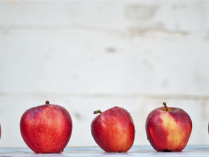Back to School: Mastering the Lunchbox and Embracing Routine