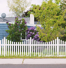 Image by Aubrey Odom