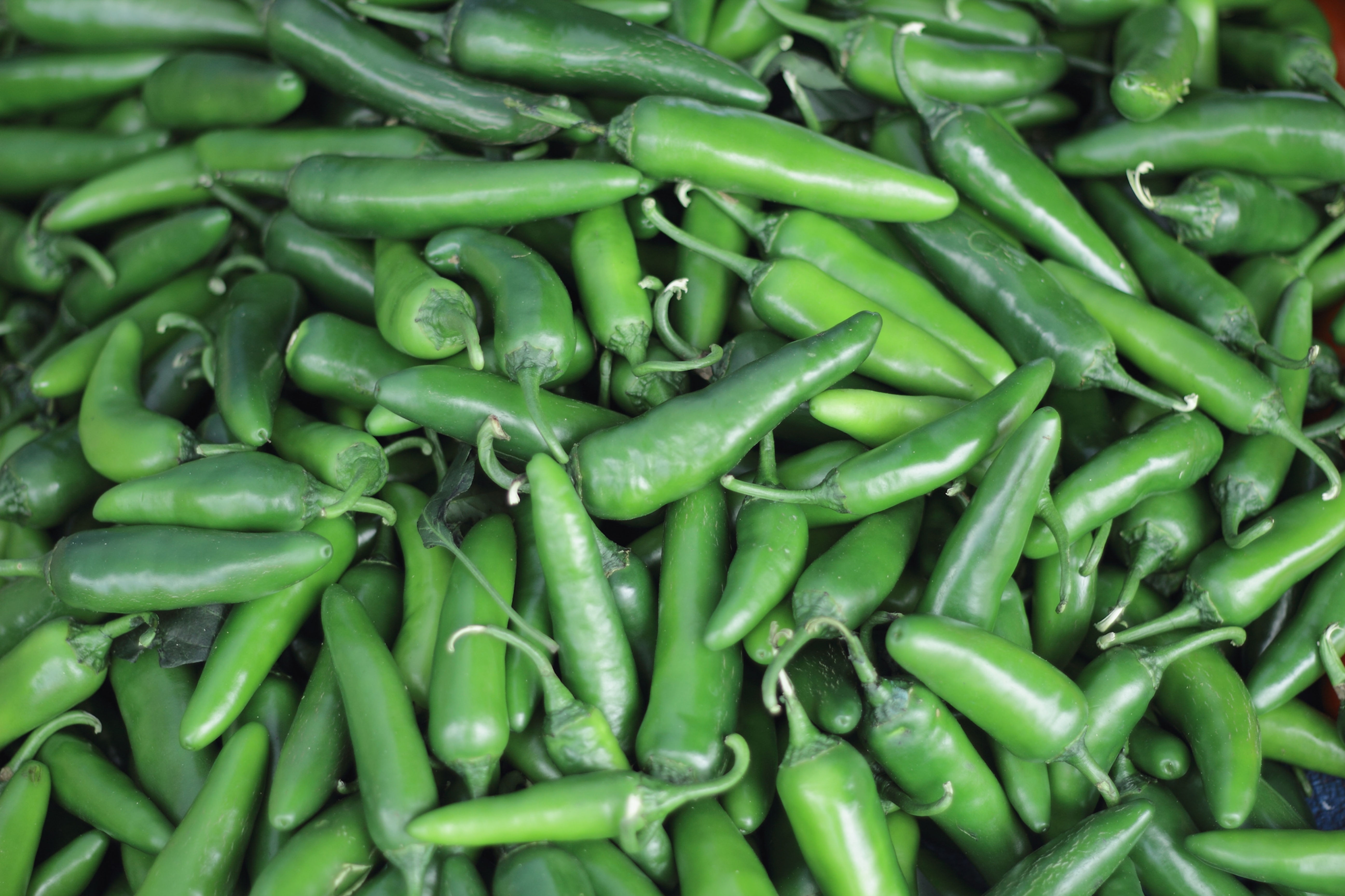 Fresh Green Chillis - Each