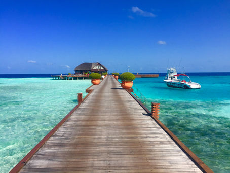 The best places to visit in February